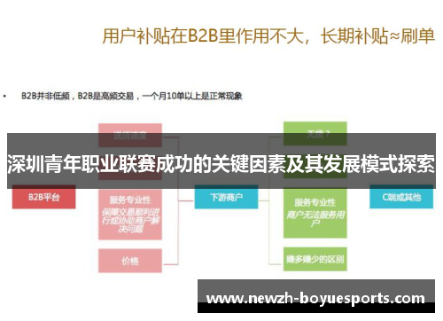 深圳青年职业联赛成功的关键因素及其发展模式探索