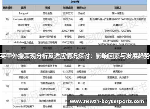英甲外援表现分析及适应情况探讨:影响因素与发展趋势 英甲外援表现分析及适应情况探讨:影响因素与发展趋势